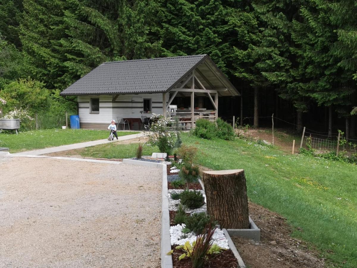 Gostilna S Prenocisci Pav Hotel Rakek Exterior foto